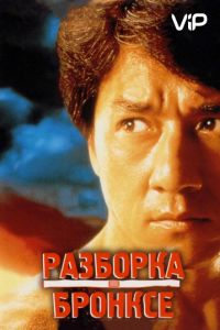 Разборка в Бронксе (1995)