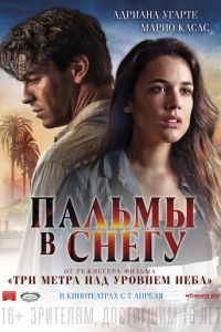   Пальмы в снегу (2015)