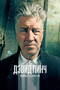   Дэвид Линч: Жизнь в искусстве (2016)